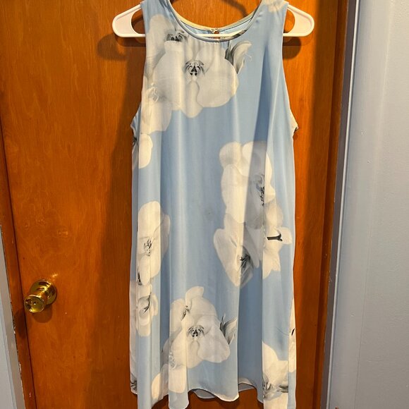 Floral Blue Sleeveless Dress - Picture 2 of 5